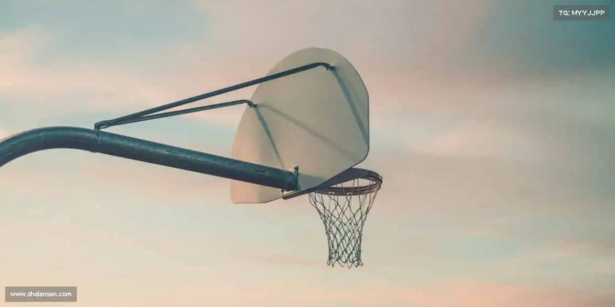 为什么选择我们